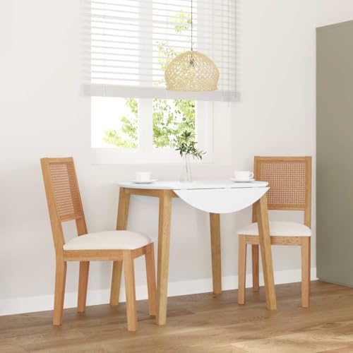Esszimmerstühle 2er-Set aus massivem Gummibaumholz mit bequemen Kissen, ergonomisches Design für Küche, Esszimmer, Wohnzimmer, modern von YuuSsea