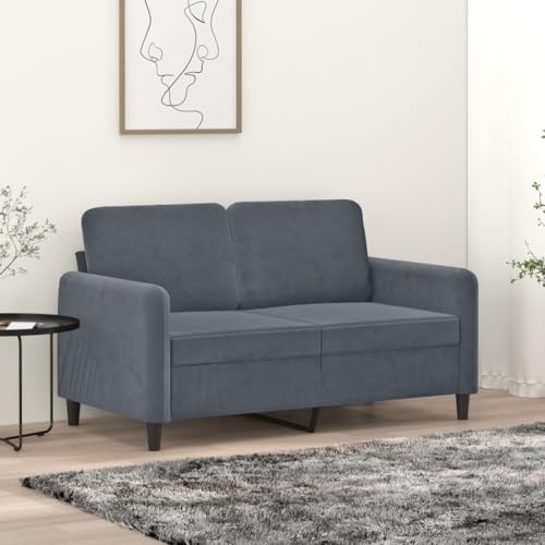 YuuSsea 2-Sitzer-Sofa, Dunkelgrau Samt 120 cm, Metallgestell, Wohnzimmer Couch für kleine Räume, bequemes Polstersofa von YuuSsea