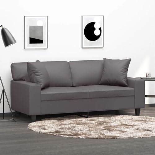 YuuSsea 2-Sitzer-Sofa, Grau, 140 cm Sitzbreite, Kunstleder, mit 2 Zierkissen, Metallgestell, für Wohnzimmer, gemütliche Lounge von YuuSsea