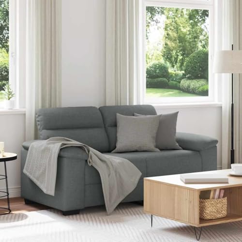 YuuSsea 2-Sitzer-Sofa Dunkelgrau, 160 cm Stoff Couch für Wohnzimmer, Schlafzimmer, Büro – Komfortable Lounge Möbel mit Breiten Armlehnen YuuSsea 2-Sitzer-Sofa Dunkelgrau, 160 cm Stoff Couch für Wohnzimmer, Schlafzimmer, Büro – Komfortable Lounge Möbel mit Breiten Armlehnen von YuuSsea