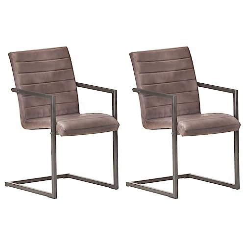YuuSsea Esszimmer Freischwinger Stühle, 2er Set, Braun Echtleder, Modern Design, Metallrahmen, Bequem für Küche, Esszimmer von YuuSsea