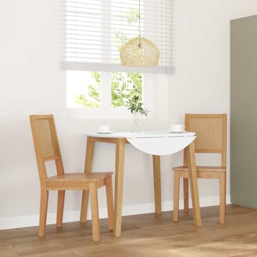 YuuSsea Esszimmerstühle 2er Set, Massivholz Gummibaum, Ergonomisches Design für Küche & Esszimmer, Robuste Holzstühle mit Hoher Stabilität von YuuSsea
