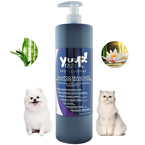 Yuup!® Professionelles Farbpflege-Hundeshampoo für weißes Fell Variante (Volumen) 1 Liter Flasche von Yuup
