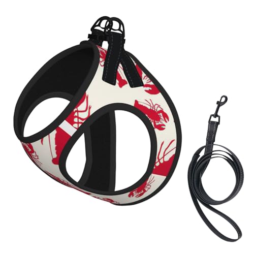 Hundegeschirr und Leine, Set mit rotem Hummer-Druck, atmungsaktiv, verstellbar, ausbruchsicher, Weste für Katzen und Hunde Hundegeschirr und Leine, Set mit rotem Hummer-Druck, atmungsaktiv, verstellbar, ausbruchsicher, Weste für Katzen und Hunde von Yyoretp