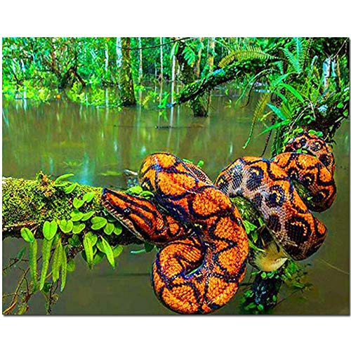 Diamant Painting Bilder Voll Kits Boa Python Schlange DIY 5D Diamant Malerei Erwachsene/Kinder Kreuzstich Stickerei Kristall Strass Diamond Painting für Home Wall Decor Geschenk von Yystyle