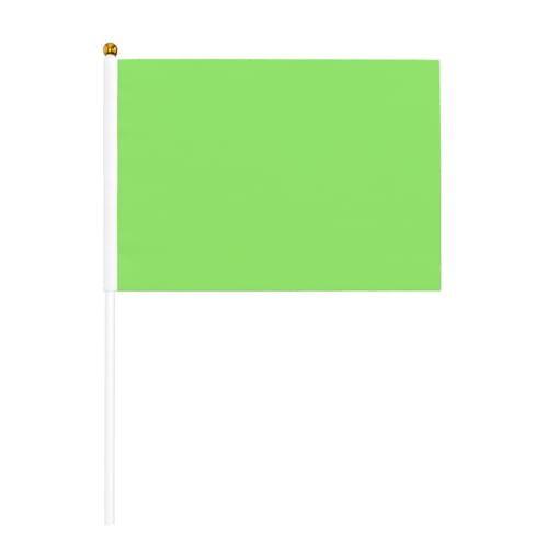 YzgWjBhd Kleine Flaggen auf Stab, einfarbig, hellgrün, bedruckte Handflagge, lustige Mini-Flagge für Urlaubsdekoration von YzgWjBhd