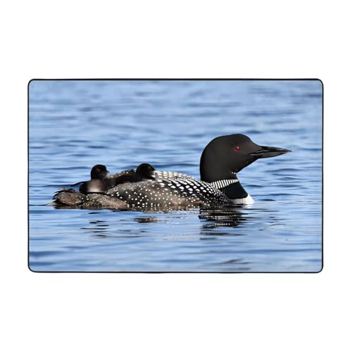 YzgWjBhd Loon Fußmatte mit Vogelmotiv, rutschfest, für drinnen und draußen, lustiger Plüsch-Memory-Schaum, Bodenmatte, 91,4 x 61 cm YzgWjBhd Loon Fußmatte mit Vogelmotiv, rutschfest, für drinnen und draußen, lustiger Plüsch-Memory-Schaum, Bodenmatte, 91,4 x 61 cm von YzgWjBhd
