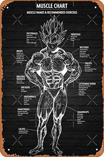 Muskeldiagramm – Anatomie-Diagramm – Anime-Fitnessstudio, motivierendes Poster, Metall-Blechschild, Vintage-Stil, 20,3 x 30,5 von Yzixulet