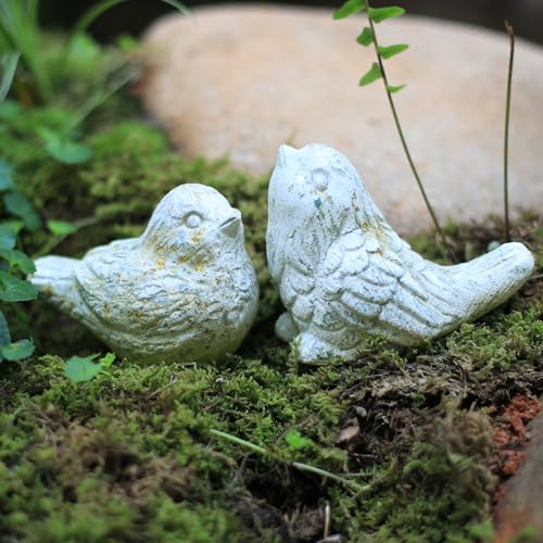 Z&Z ornamentorum Vogelstatuen für den Außenbereich, Deko-Figuren für Zuhause, Zement, Vogel-Skulptur für Terrasse, Hof, Rasen, Ornament, 2 Stile/Set, Steindekorationen für drinnen und draußen Z&Z ornamentorum Vogelstatuen für den Außenbereich, Deko-Figuren für Zuhause, Zement, Vogel-Skulptur für Terrasse, Hof, Rasen, Ornament, 2 Stile/Set, Steindekorationen für drinnen und draußen von Z&Z ornamentorum