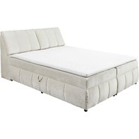 Z2 Boxspringbett VALENCIA, Velours von Z2