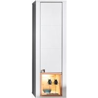 Z2 Hängevitrine SERPIO, Holznachbildung von Z2