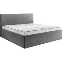 Z2 Polsterbett CALGARY, Cord von Z2
