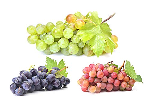 Weintrauben Sortiment kernlos 3 Sorten (hell, rosé und blau) von ZAC Wagner