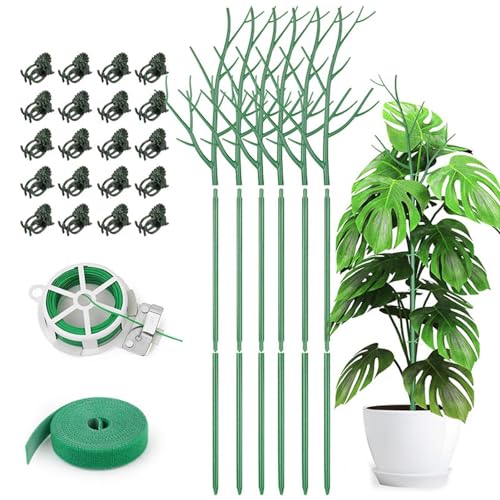 6 Stück Stützstäbe für Monstera-Pflanzen, 70 cm/100 cm Zweig-Pflanzenstäbe mit Orchideenklammern, Drehbändern und Pflanzengurt, Stützstäbe für Monstera-Pflanzen im Topf für Zimmerpflanzen von ZAGARO