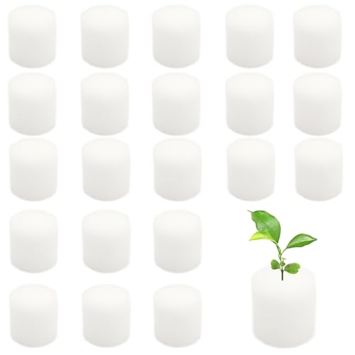 ZAHD 100 PCS Soilless Hydroponics Schwamm Sämling Schwämme Gewächshaus Hydroponics System Sämling Schwämme Gepflanzt Schwamm Hydroponic anzucht Schwamm Block passend Grow Hydroponic (100, Weiß) von ZAHD