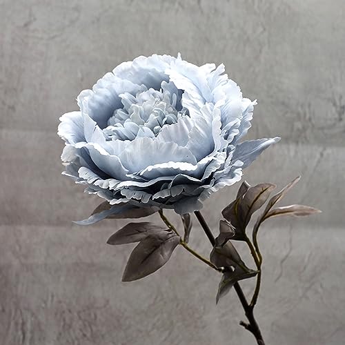 Kunstblumen Hellblaue Pfingstrose Kunstblumen Wie Echt Deko Blumen Fake Flowers,Künstliche Blumen Deko,Künstliche Balkonpflanzen,Künstliche Pflanzen Für Aesthetic Deko Hochzeit Garten Kunstblumen Hellblaue Pfingstrose Kunstblumen Wie Echt Deko Blumen Fake Flowers,Künstliche Blumen Deko,Künstliche Balkonpflanzen,Künstliche Pflanzen Für Aesthetic Deko Hochzeit Garten von ZAHHYG