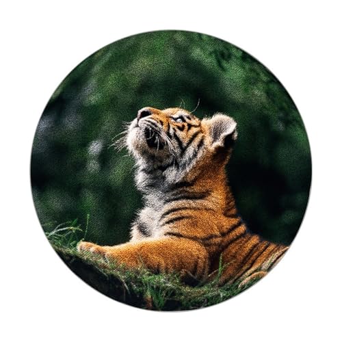 Teppich Rund 120 Waschbar Gelbgrün Rutschfester Kurzflor Teppich Wohnzimmer, Schlafzimmer Carpet für Büro Eingangsbereich Teppich Rund 120 Waschbar Gelbgrün Rutschfester Kurzflor Teppich Wohnzimmer, Schlafzimmer Carpet für Büro Eingangsbereich von ZAHHYG