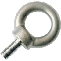 Zalux EX-Leuchten Zubehör KRATEX Ringöse Eyebolt - 10078101 von ZALUX, S.A.