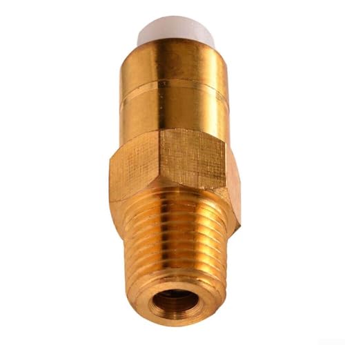 Ersatz-Thermo-Überdruckventil für Homelite Hochdruckreiniger, kompatibel mit Modell PS80517 und anderen Teilenummern für 678169004 und 17658 (G1/4 Zoll Außengewinde) von ZAMETTER