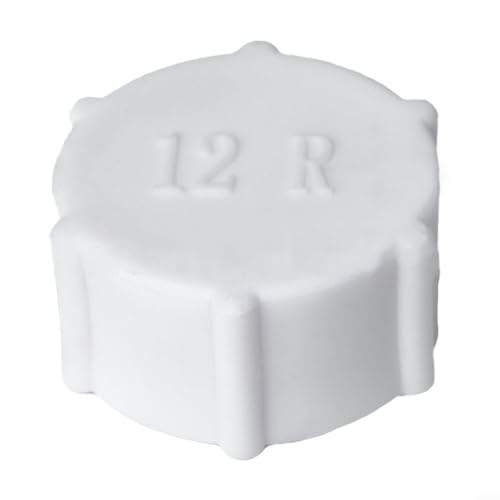 ZAMETTER Sandfilterpumpen-Ablaufventilabdeckung und O-Ring-Dichtung für Intex Pool 11456 11385 Ablaufventilkappe & O-Ring für Sandfilterpumpe, P4MGEJ4S96U29JBIY18V0X4 von ZAMETTER
