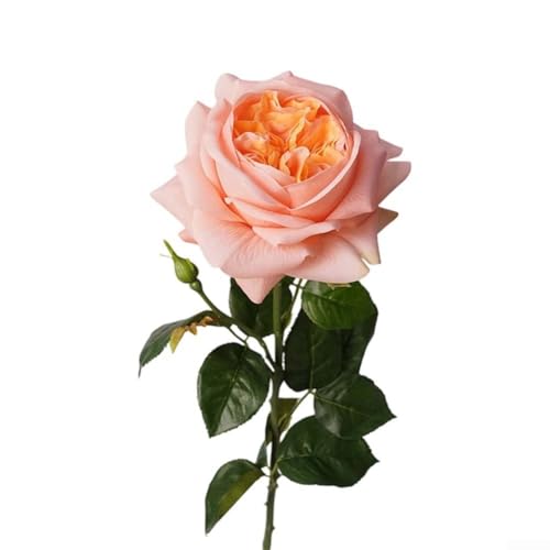 ZAMETTER Künstliche Pfingstrosen, 6 Stück, realistische Haptik, langer Stiel, Seidenblumen, handgefertigt, Seidenrosen, Pfingstrosen, Kollektion für Heimdekoration, Wohnzimmer, Esstisch, Büro ZAMETTER Künstliche Pfingstrosen, 6 Stück, realistische Haptik, langer Stiel, Seidenblumen, handgefertigt, Seidenrosen, Pfingstrosen, Kollektion für Heimdekoration, Wohnzimmer, Esstisch, Büro von ZAMETTER