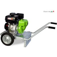 ZANETTI PB50-270AG Selbstansaugende Benzin-Motorpumpe aus Gusseisen ZBM 270 5,8 kW Motor ZANETTI PB50-270AG Selbstansaugende Benzin-Motorpumpe aus Gusseisen ZBM 270 5,8 kW Motor von ZANETTI