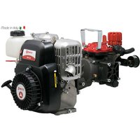 Benzin-Sprühmotorpumpe ZANETTI ZEN25i mit ANNOVI REVERBERI AR252 Pumpe von ZANETTI