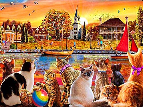 Diamond Painting 5D Diamant Painting Bilder Hauskatze Diamond Painting Zubehör für Erwachsene Kinder, DIY Diamant Malerei Kits Kristall Strass Stickerei Kreuzstich Wohnwand Dekor Round Drill,60x80cm von ZANHOG