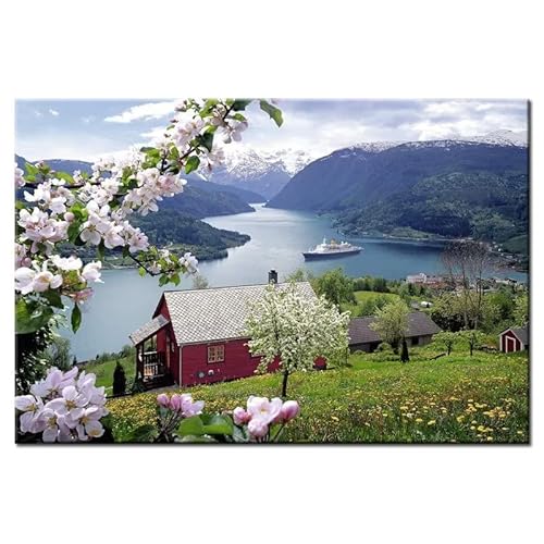 Diamond Painting Set,5D Diamant Painting Bilder,DIY Diamant Malerei Vollbohrer Kits,Malen Nach Zahlen,Strass Stickerei Kreuzstich Home Wanddekoration Norwegen Fjord Naturkulisse Round drill,25x45cm von ZANHOG