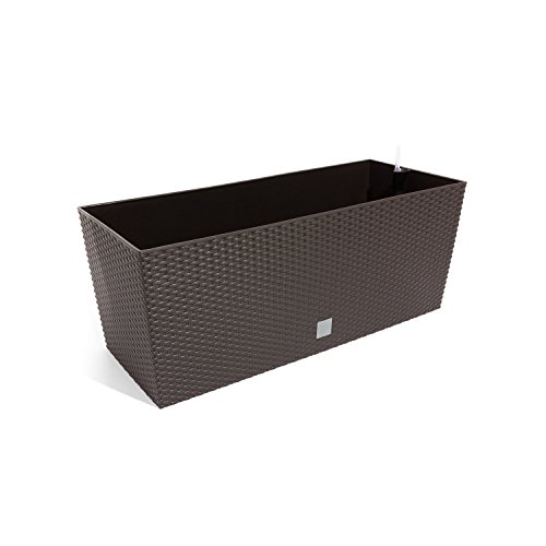 Prosper Plast drtc600–440U 60 x 25 x 24 cm "Rato" Fall Blumentopf braun (12-teilig) von Zanvic