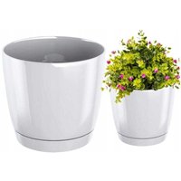 Runder weißer Blumentopf mit Untersetzer 18x16,5cm Coubi Runder weißer Blumentopf mit Untersetzer 18x16,5cm Coubi von ZANVIC