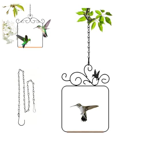 ZANWANXIN Hummingbird Swings and Perches, Humming Bird Swing, Metal Frame Hummingbird Swings Bird Swing Outdoor Hangable Bird Playground Swing Stand for Lawn Patio Garden Decoration (Bird) von ZANWANXIN