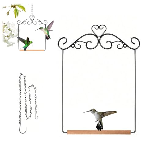 ZANWANXIN Hummingbird Swings and Perches, Humming Bird Swing, Metal Frame Hummingbird Swings Bird Swing Outdoor Hangable Bird Playground Swing Stand for Lawn Patio Garden Decoration (Iron Frame) von ZANWANXIN
