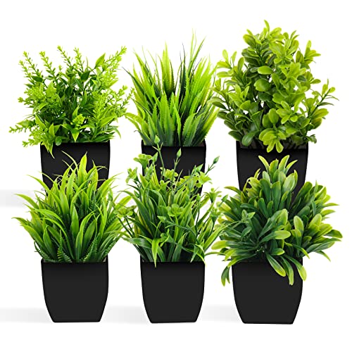 ZAOJUP 6 Stücke Klein Künstliche Pflanzen Mini Artificial Plants Fake Potted Plants Indoor, 8 pcs Small Eucalyptus Potted Faux Decorative Grass Plant with Black Pot for Home Decor ZAOJUP 6 Stücke Klein Künstliche Pflanzen Mini Artificial Plants Fake Potted Plants Indoor, 8 pcs Small Eucalyptus Potted Faux Decorative Grass Plant with Black Pot for Home Decor von ZAOJUP