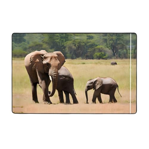 ZAQXSWCDEV Elephant Family Luxuriöser Teppich, 152,4 x 99,1 cm, einseitiger Druck, weicher Flanellstoff, hochdichter Memory-Schaum, rutschfeste und langlebige Unterseite von ZAQXSWCDEV