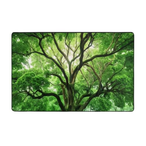 ZAQXSWCDEV Grüner Kampferbaum-Teppich, luxuriös, 152,4 x 99,1 cm, einseitiger Druck, weicher Flanellstoff, hochdichter Memory-Schaum, rutschfeste und langlebige Unterseite von ZAQXSWCDEV