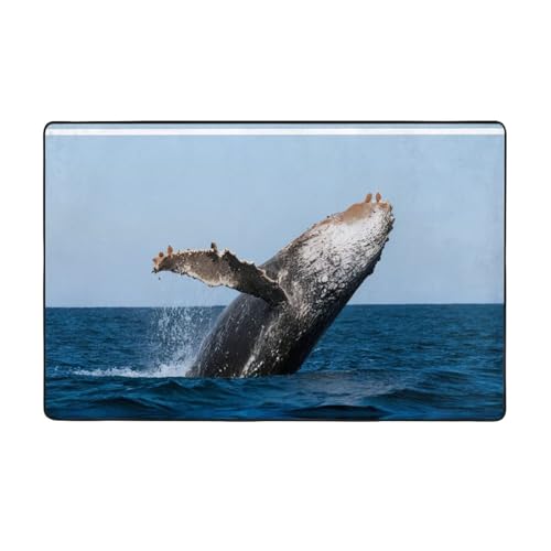 ZAQXSWCDEV Jumping Whales (2) Luxuriöser 152,4 x 99,1 cm Teppich, einseitiger Druck, weicher Flanellstoff, hochdichter Memory-Schaum, rutschfeste und langlebige Unterseite von ZAQXSWCDEV