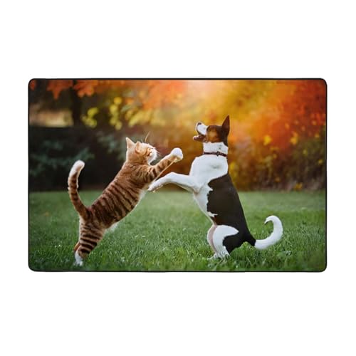 ZAQXSWCDEV Lovely Dogs Luxuriöser Teppich, 152,4 x 99,1 cm, einseitiger Druck, weicher Flanellstoff, hochdichter Memory-Schaum, rutschfeste und langlebige Unterseite ZAQXSWCDEV Lovely Dogs Luxuriöser Teppich, 152,4 x 99,1 cm, einseitiger Druck, weicher Flanellstoff, hochdichter Memory-Schaum, rutschfeste und langlebige Unterseite von ZAQXSWCDEV