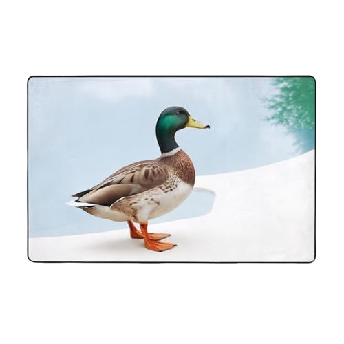 ZAQXSWCDEV Mallard Ducks (4) Luxuriöser 152,4 x 99,1 cm Teppich, einseitiger Druck, weicher Flanellstoff, hochdichter Memory-Schaum, rutschfeste und langlebige Unterseite von ZAQXSWCDEV