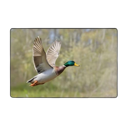 ZAQXSWCDEV Mallard Ducks (5) Luxuriöser 152,4 x 99,1 cm Teppich, einseitiger Druck, weicher Flanellstoff, hochdichter Memory-Schaum, rutschfeste und langlebige Unterseite von ZAQXSWCDEV
