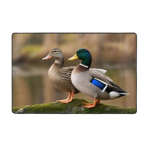 ZAQXSWCDEV Mallard Ducks Luxuriöser Teppich, 152,4 x 99,1 cm, einseitiger Druck, weicher Flanellstoff, hochdichter Memory-Schaum, rutschfeste und strapazierfähige Unterseite von ZAQXSWCDEV