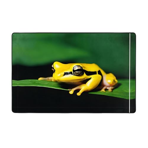 ZAQXSWCDEV Niedlicher Frosch-Teppich, 152,4 x 99,1 cm, einseitiger Druck, weicher Flanellstoff, hochdichter Memory-Schaum, rutschfeste und langlebige Unterseite von ZAQXSWCDEV