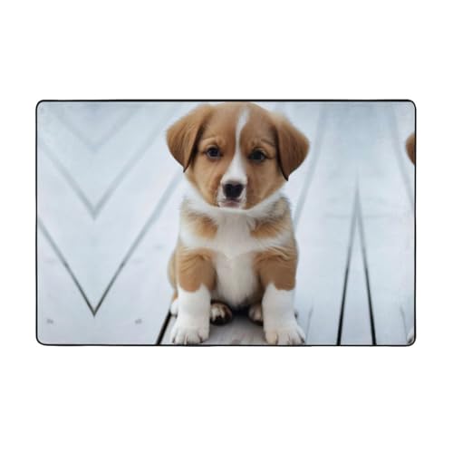 ZAQXSWCDEV Niedlicher Welpenteppich, luxuriös, 152,4 x 99,1 cm, einseitiger Druck, weicher Flanellstoff, hochdichter Memory-Schaum, rutschfeste und langlebige Unterseite von ZAQXSWCDEV