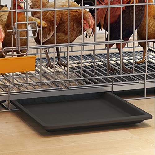 ZAQYCM Hühnerstall Hühnerhaus Hühnerkäfig Faltbar, Großer Hühnerstall Mit Rädern Und Abnehmbarer Kotwanne Für 2 3 5 6 Hühner, Indoor-Kaninchenstall Mit 2 Türen (Size : 60x43x50cm/24x17x20 in) ZAQYCM Hühnerstall Hühnerhaus Hühnerkäfig Faltbar, Großer Hühnerstall Mit Rädern Und Abnehmbarer Kotwanne Für 2 3 5 6 Hühner, Indoor-Kaninchenstall Mit 2 Türen (Size : 60x43x50cm/24x17x20 in) von ZAQYCM