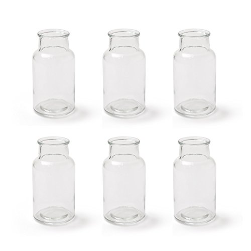 ZARTMANN LIVING Glasflasche Braxton - 6er Set - 14 cm - Glasvase - Tischvase - Klar - Tischdeko für Hochzeit, Taufe, Geburtstag, Gartenparty, Jubiläum, Kommunion, Konfirmation ZARTMANN LIVING Glasflasche Braxton - 6er Set - 14 cm - Glasvase - Tischvase - Klar - Tischdeko für Hochzeit, Taufe, Geburtstag, Gartenparty, Jubiläum, Kommunion, Konfirmation von ZARTMANN LIVING