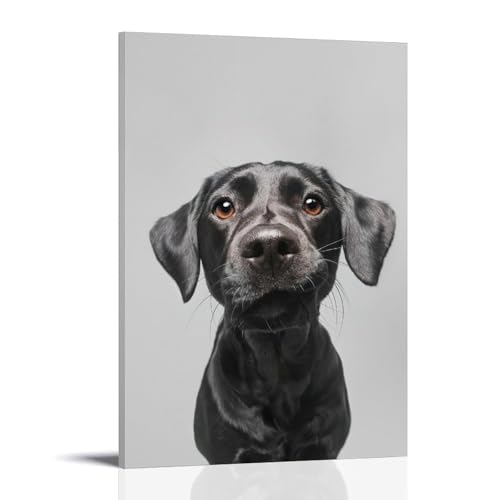 ZBBZJYHH Elegantes schwarzes Labor-Wanddekor-Poster, modernes künstlerisches Wandbild, hängende Dekoration, Poster, 30 x 45 cm von ZBBZJYHH