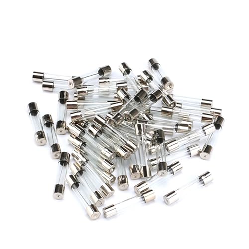 100 Stücke 5 * 20mm Glassicherung Schnelle Sicherung 250 V 0.1A 0.2A 0.5A 1A 2A 3A 3.15A 4A 5A 6A 6.3A 7A 8A 10A 12A 15A 20A 25A 30A Flink(3A) von ZBFGEPLV
