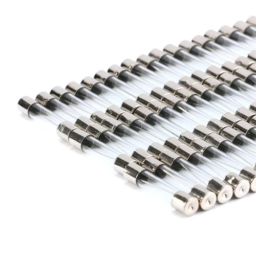 6 * 30mm Glassicherung Rohrsicherung 6x30mm Schnelles Fusing 250V 0.5A 1A 2A 3A 4A 5A 6A 8A 10A 12A 15A 20A 25A 30A 6X30 100 Stücke(100Pcs 8A) von ZBFGEPLV