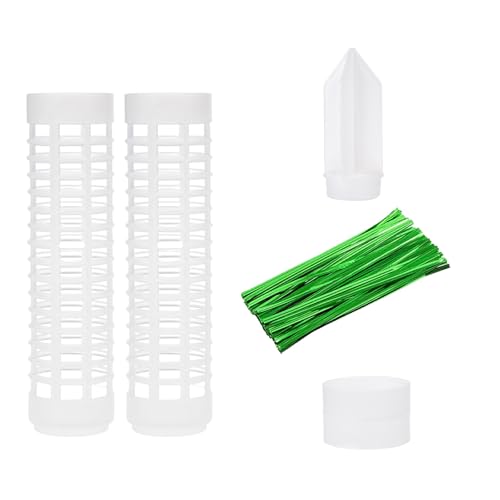 ZBIianxer Wasserpflanze Klettern Stapelbarer Moss Stab Plastik NET Stereotyp Green Dillsäule Gartenpfahl ZBIianxer Wasserpflanze Klettern Stapelbarer Moss Stab Plastik NET Stereotyp Green Dillsäule Gartenpfahl von ZBIianxer