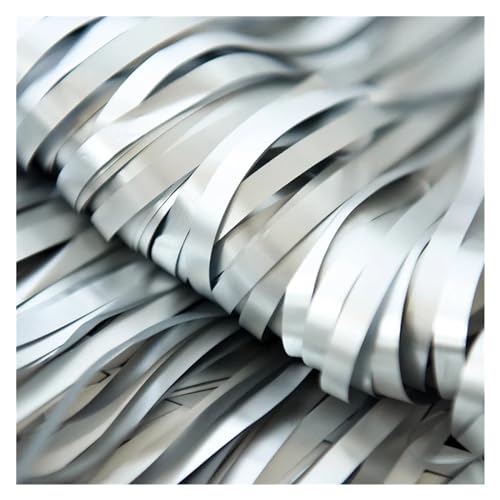Fransenvorhang Dekorationen Backdrop, Lametta Vorhänge Metallic Folie Quaste Streamer Multicolor for Party Dekorationen(Silver) von ZBORAVPIX
